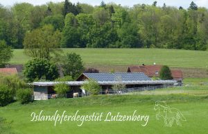 Keppeler-Hof - Islandpferdegestüt - Islandpferde von Lutzenberg