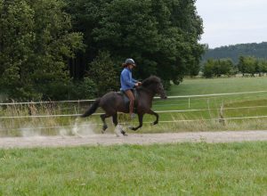 Das Reiterlebnis beim Keppeler-Hof in Lutzenberg