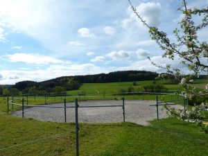 Das Reiterlebnis beim Keppeler-Hof in Lutzenberg- Roundpen